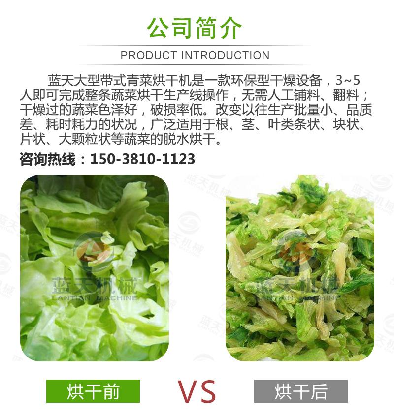 帶式青菜烘干機(jī)公司簡介